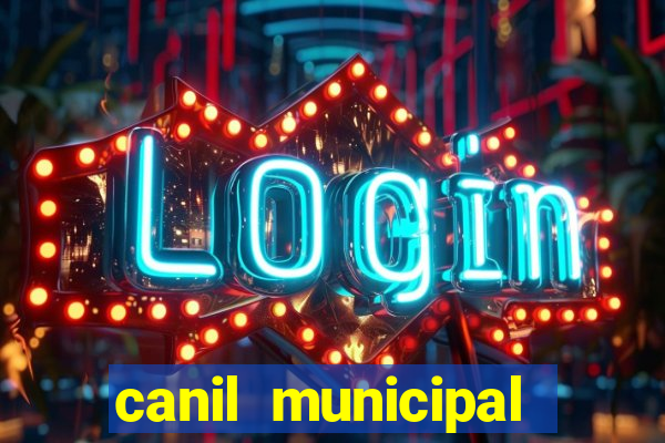 canil municipal porto alegre